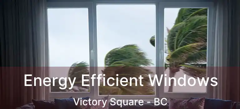  Energy Efficient Windows Victory Square - BC