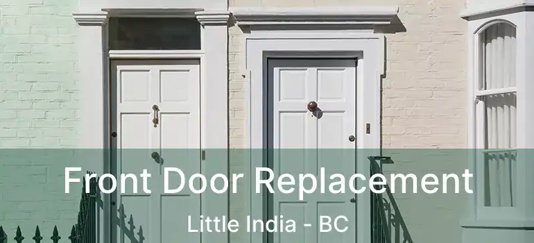  Front Door Replacement Little India - BC