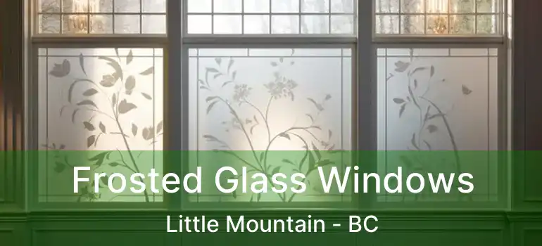  Frosted Glass Windows Little Mountain - BC