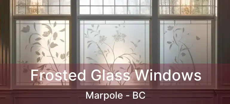  Frosted Glass Windows Marpole - BC