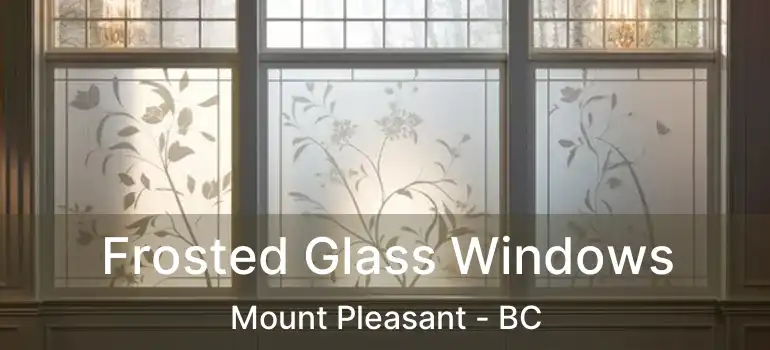  Frosted Glass Windows Mount Pleasant - BC