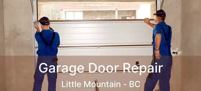  Garage Door Repair Little Mountain - BC