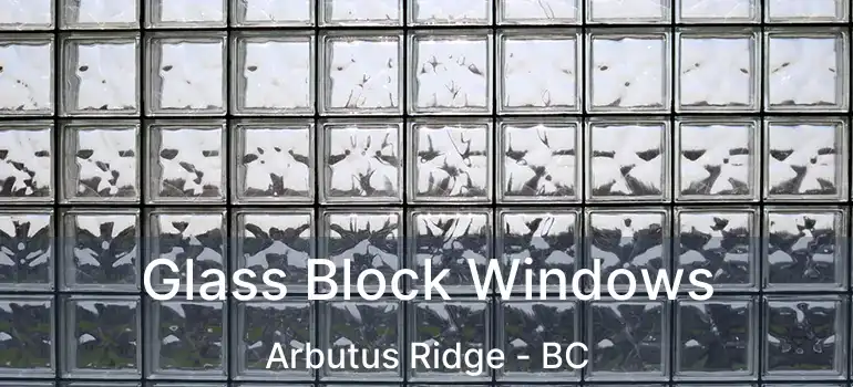  Glass Block Windows Arbutus Ridge - BC