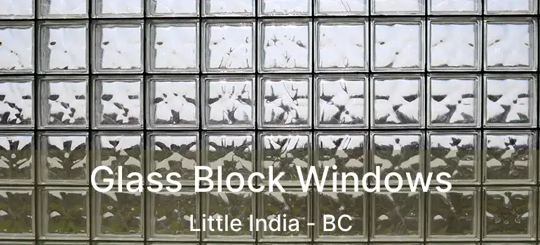  Glass Block Windows Little India - BC