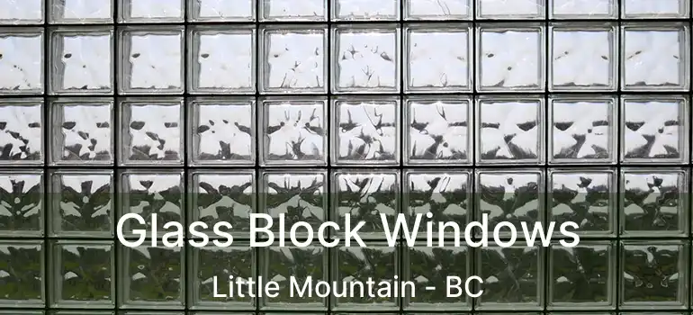  Glass Block Windows Little Mountain - BC
