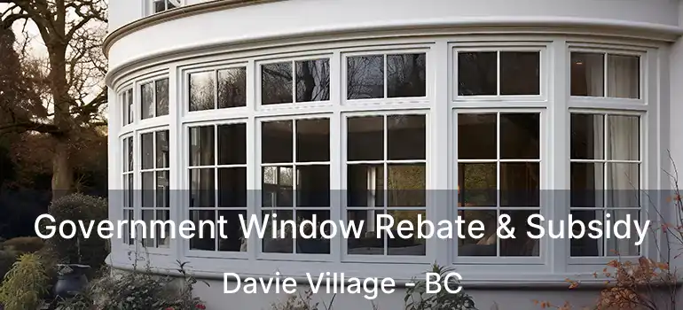  Government Window Rebate & Subsidy Davie Village - BC