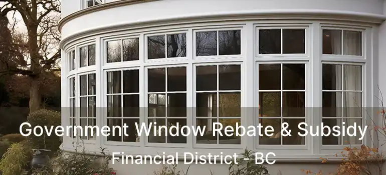  Government Window Rebate & Subsidy Financial District - BC