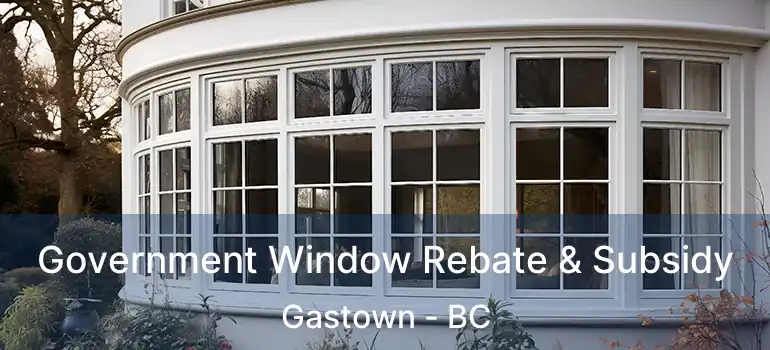  Government Window Rebate & Subsidy Gastown - BC