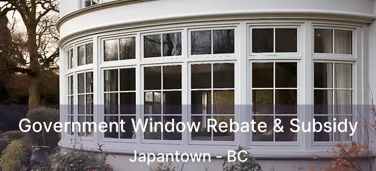  Government Window Rebate & Subsidy Japantown - BC
