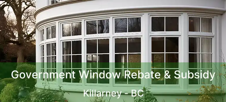  Government Window Rebate & Subsidy Killarney - BC