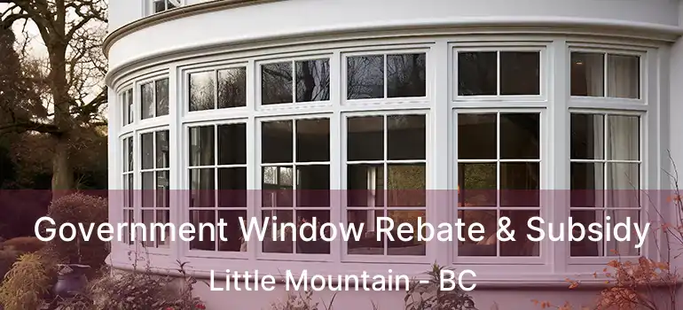  Government Window Rebate & Subsidy Little Mountain - BC