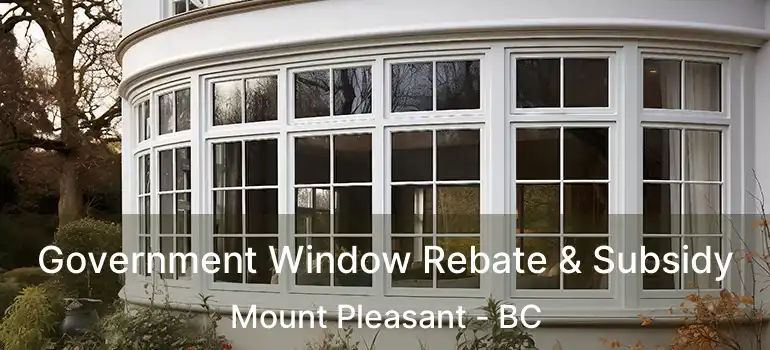  Government Window Rebate & Subsidy Mount Pleasant - BC