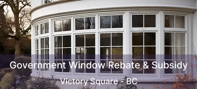  Government Window Rebate & Subsidy Victory Square - BC