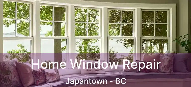  Home Window Repair Japantown - BC