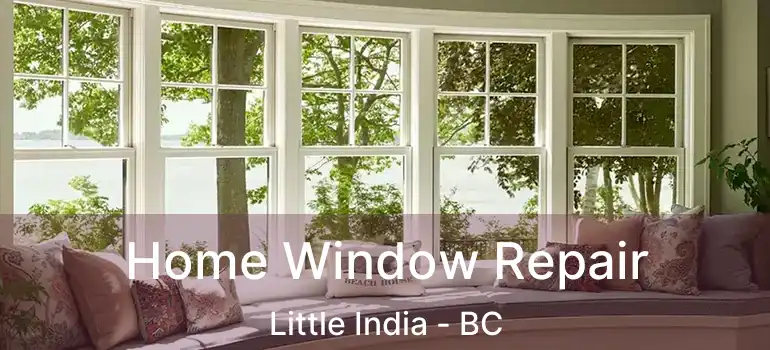  Home Window Repair Little India - BC