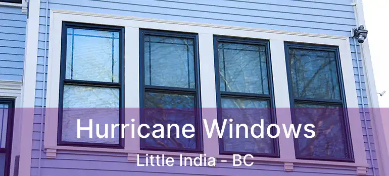  Hurricane Windows Little India - BC