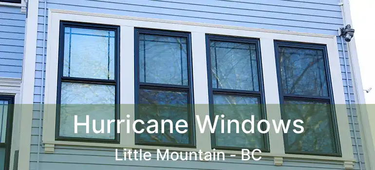  Hurricane Windows Little Mountain - BC