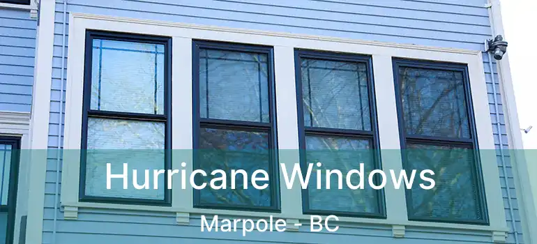  Hurricane Windows Marpole - BC