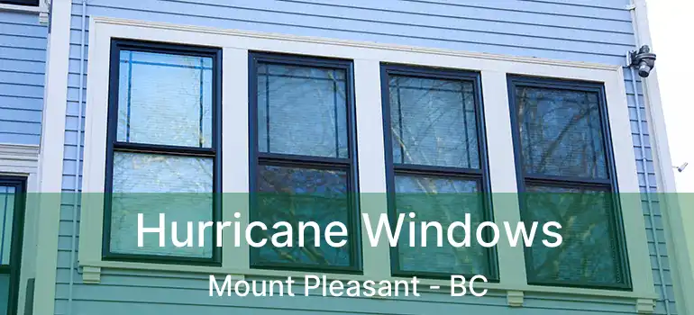  Hurricane Windows Mount Pleasant - BC