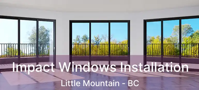  Impact Windows Installation Little Mountain - BC
