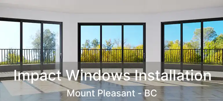  Impact Windows Installation Mount Pleasant - BC