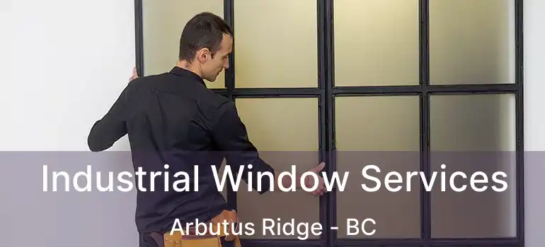  Industrial Window Services Arbutus Ridge - BC