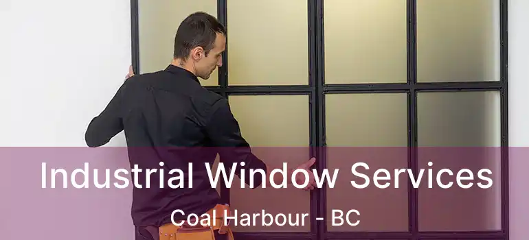  Industrial Window Services Coal Harbour - BC