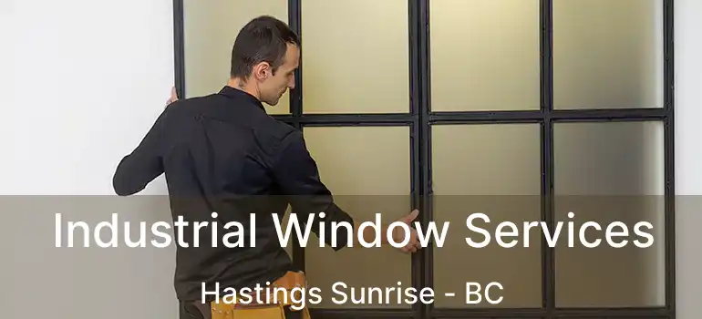  Industrial Window Services Hastings Sunrise - BC