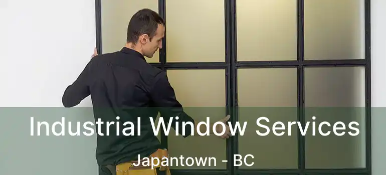  Industrial Window Services Japantown - BC