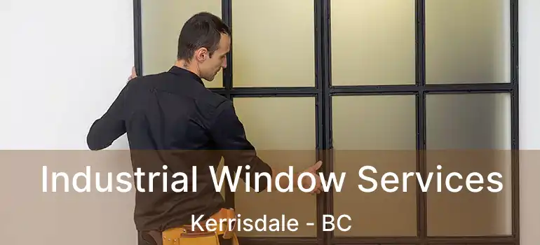  Industrial Window Services Kerrisdale - BC