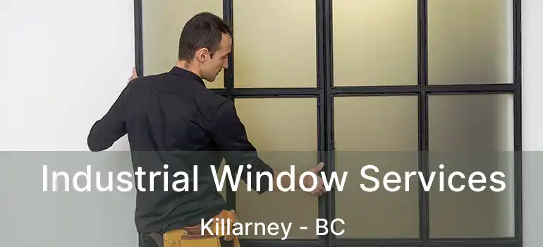  Industrial Window Services Killarney - BC