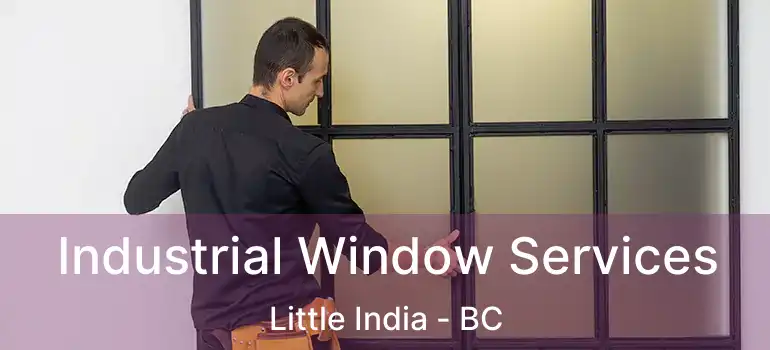  Industrial Window Services Little India - BC