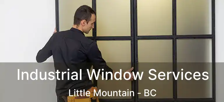  Industrial Window Services Little Mountain - BC