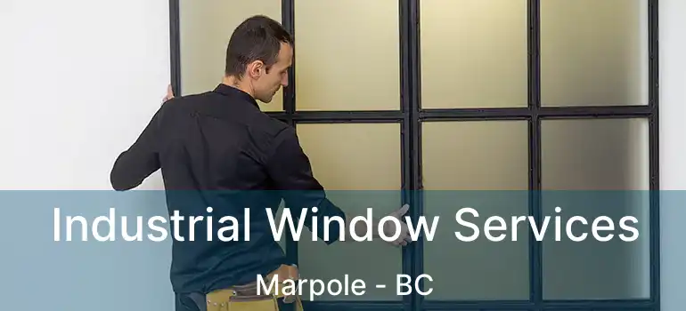  Industrial Window Services Marpole - BC