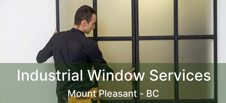  Industrial Window Services Mount Pleasant - BC