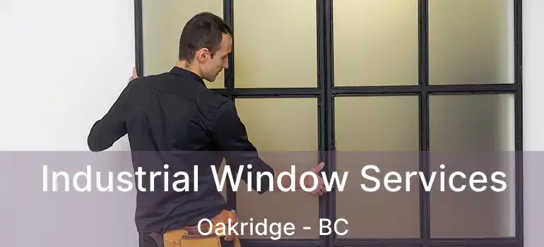  Industrial Window Services Oakridge - BC