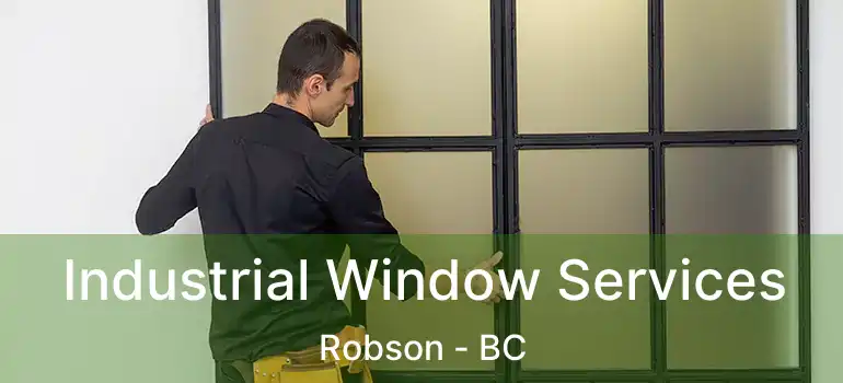  Industrial Window Services Robson - BC