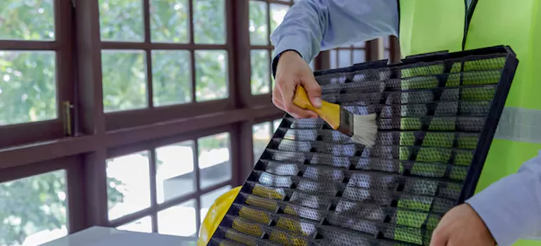 Traditional Window Grille Installation Options in Little India, BC