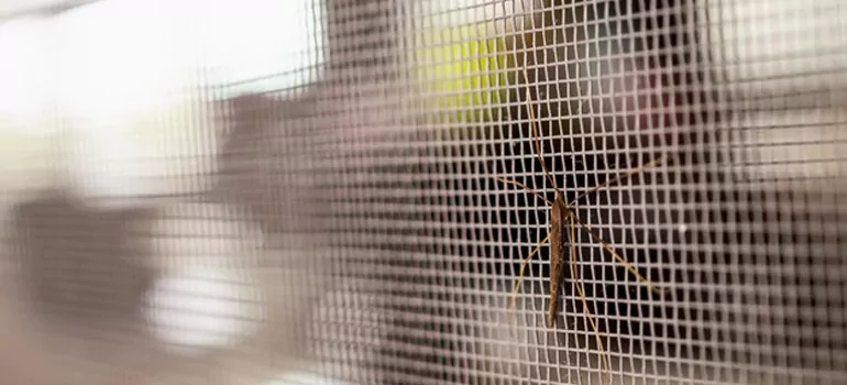 Repair Mosquito Mesh For Windows in West Point Grey, British Columbia