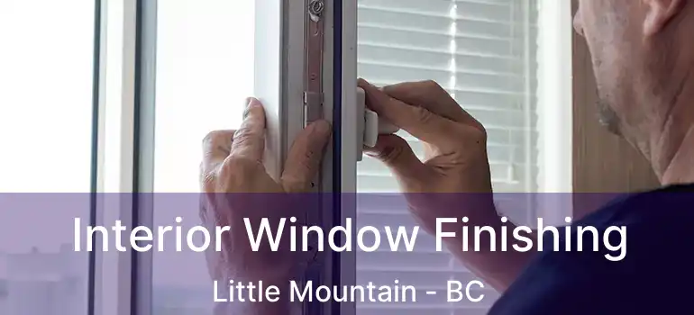  Interior Window Finishing Little Mountain - BC