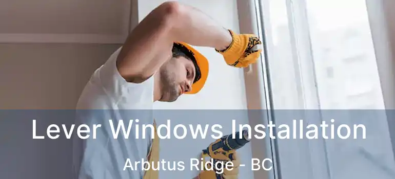  Lever Windows Installation Arbutus Ridge - BC