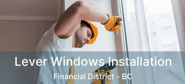  Lever Windows Installation Financial District - BC