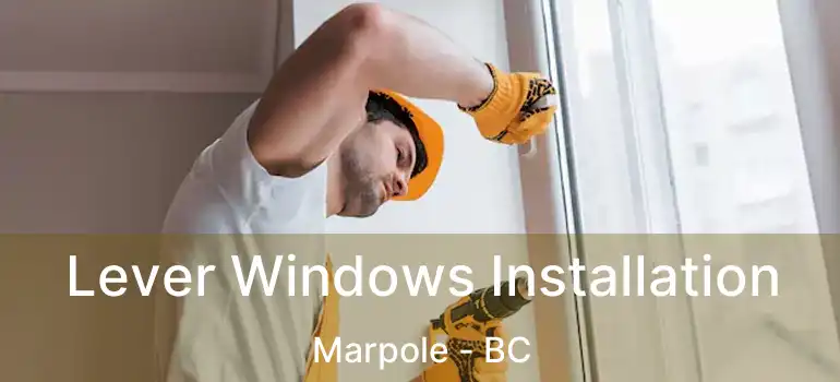  Lever Windows Installation Marpole - BC