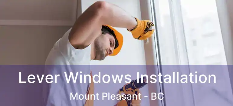  Lever Windows Installation Mount Pleasant - BC