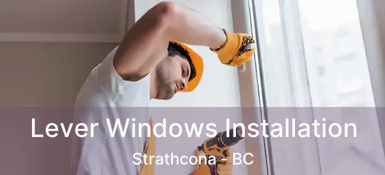  Lever Windows Installation Strathcona - BC