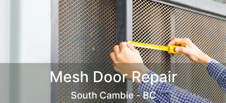  Mesh Door Repair South Cambie - BC