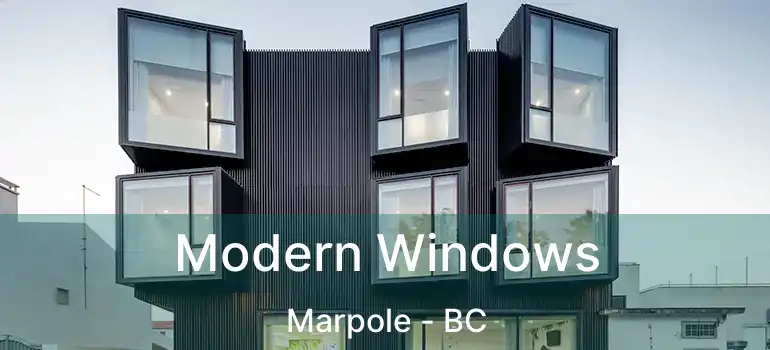  Modern Windows Marpole - BC