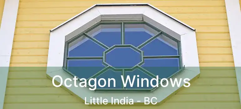  Octagon Windows Little India - BC