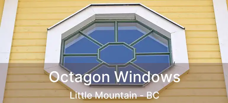  Octagon Windows Little Mountain - BC