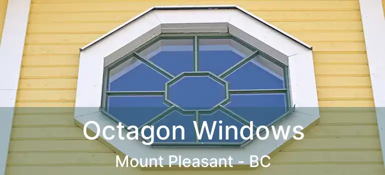  Octagon Windows Mount Pleasant - BC